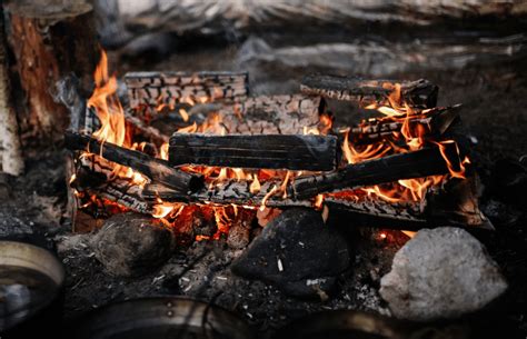 CBSE Class 8 Science HOTS Questions PDF | Olympiad tester