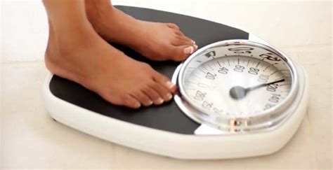 Top Healthy Fats to Boost Weight Gain and Improve Wellness – MyDiagnostics