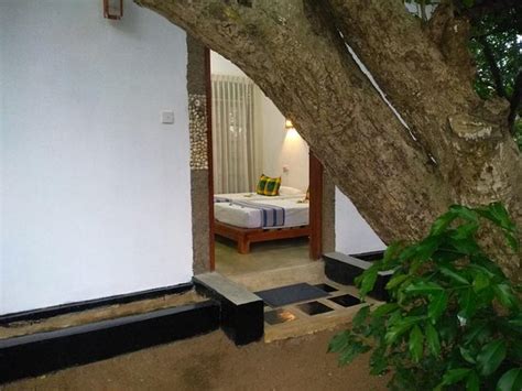 GRAND FREEDOM (Sigiriya) - Inn Reviews, Photos, Rate Comparison ...