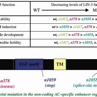 Image result for Complementation Example