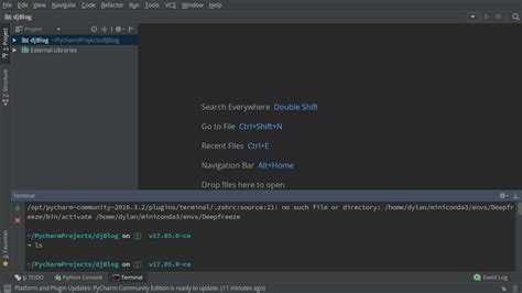 PyCharm Terminal 的图像结果