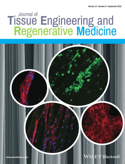 Tissue Engineering Journal 的图像结果