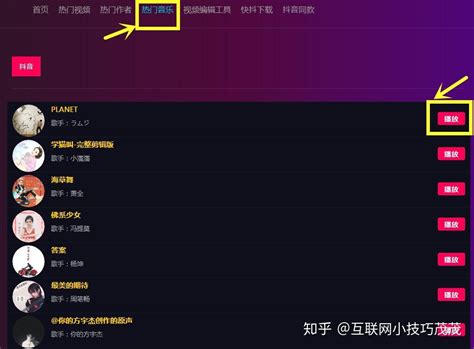 seo设置首选域提升网站排名