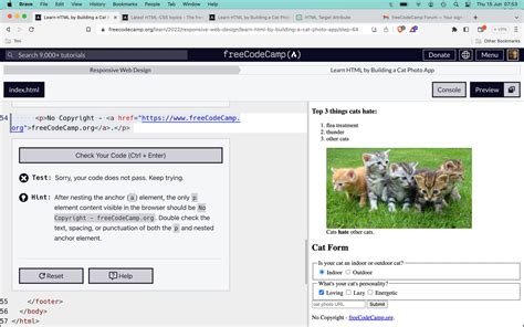 Image result for Step 12 Freecodecamp HTML