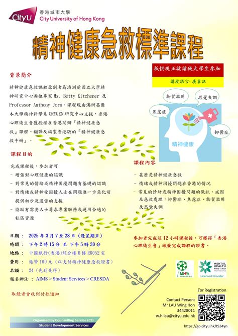 Example MHFA Questionnaire Sample 的图像结果