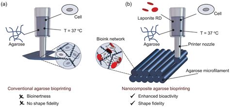 Clay-Based Nanocomposite Hydrogels for Biomedical Applications: A Review