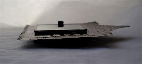 Buy Rat Skull and Hip Bones, Real Rat Bones, Bone Art, Bone Nicho ...