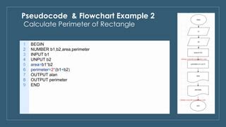 Pseudocode Code Examples 的图像结果