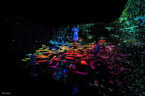 teamLab Planets TOKYO Ticket - Klook India