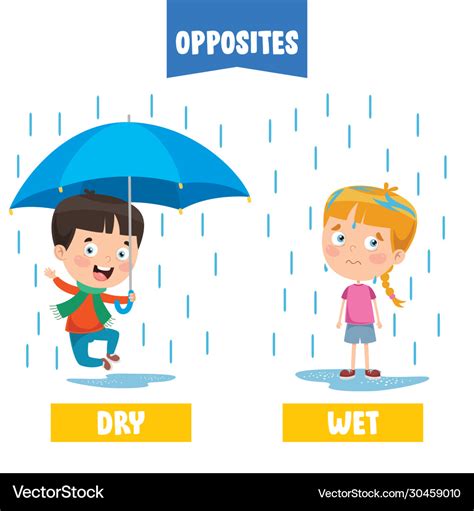 Wet and dry stock vector. Illustration of educate, youth - 17666230