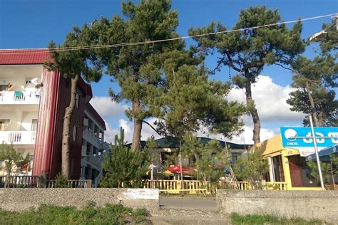 VISITGEO.COM GEORGIA TOURS & TRANSFERS (2026) All You Need to Know ...