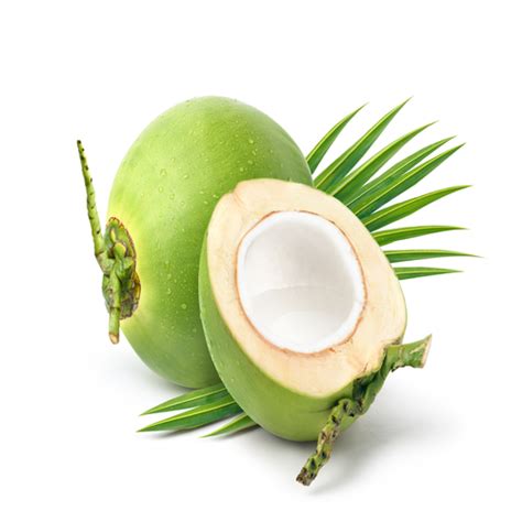 Coconut Processing Plant | Pure Natural Beverage