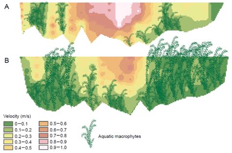 Not All Rivers Are Created Equal: The Importance of Spring-Fed Rivers ...