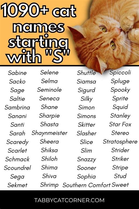 Cat Names Starting With S Female at Alexis Kevin blog