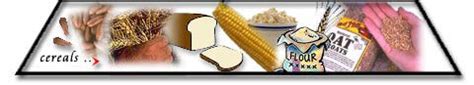 Diabetes India - Cereals