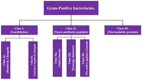 Classifications Of Antibiotics Molecular Mechanisms Of Antimicrobial
