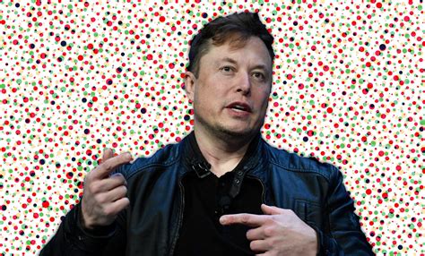 Ex PayPal Employee Jason Portnoy Reveals Former Boss Elon Musk Never ...