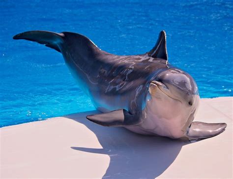 National Museum of Somalia (Mogadishu) - All You Need to Know BEFORE You Go