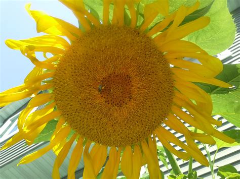 The Vintage Express Store | eBay Stores