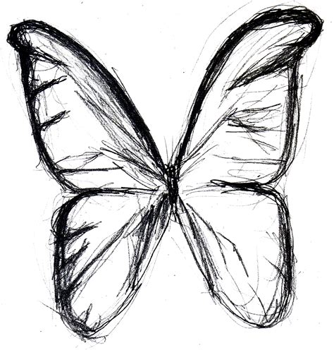 butterfly drawing sketch