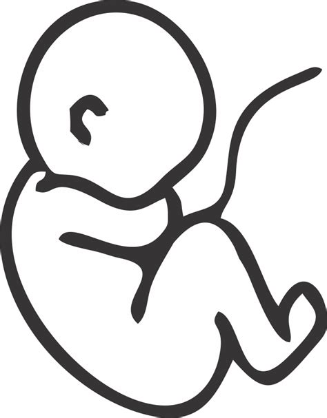 Umbilical Cord Blood Banking, Stem Cell Banking In India | Cryoviva India