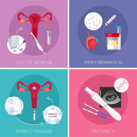 IVF Process Step by Step 的图像结果