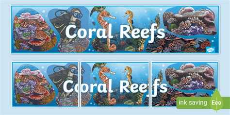 Coral Reefs Display Banner