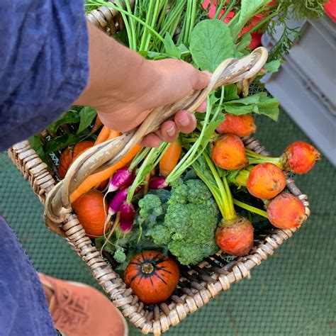 Grow Spring Vegetables 的图像结果