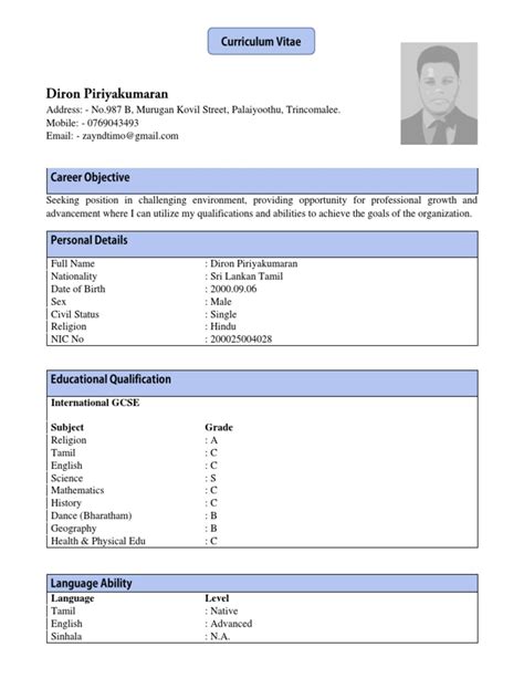 Image result for CV Sample PDF