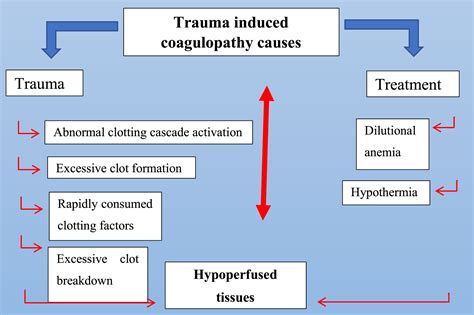 Trauma Diamond of Death: Adding Calcium to the Lethal Triad - Journal ...