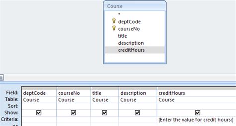 Parameter Query Microsoft Access 的图像结果