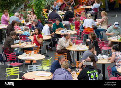 Busy Restaurant 的图像结果