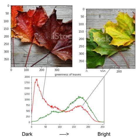 Image result for Thermal Image Processing Python