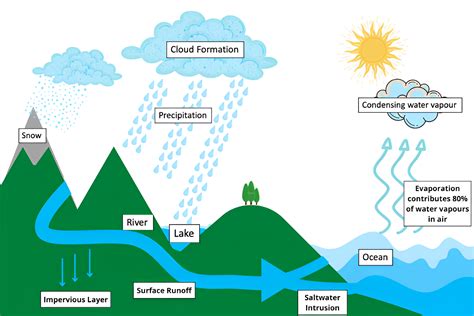 IELTS Process Diagram 2: Band 9 Sample Answer - process of the water cycle