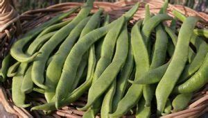 Vegetables Name in Hindi । 95 सब्जियों के इंग्लिश और हिन्दी नाम