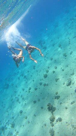 Wonder Travel Egypt - Hurghada | Tripadvisor