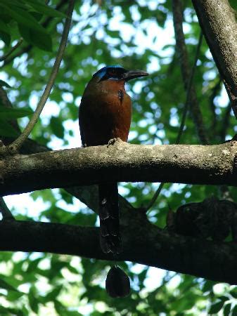 Tobago Now Off Road Jeep Safari - 2022 What to Know Before You Go (with ...