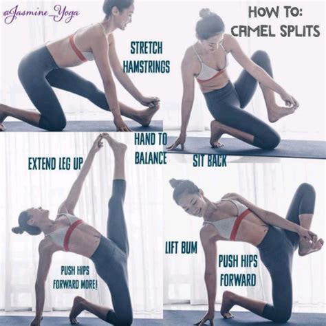 Image result for Camel Splits Tutorial