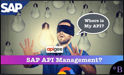 Image result for SAP API Management Logo