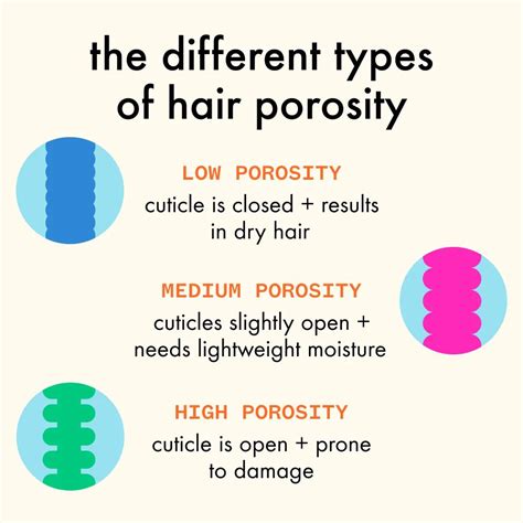 All About Hair Porosity: Discover Your Best Hair Yet