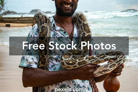 Image result for Namedtuple Python