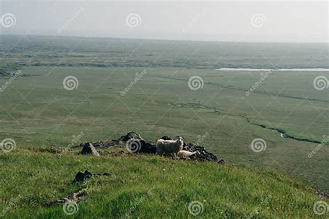 Image result for Falling Example