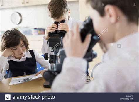 Image result for How To Use A Microscope For Elementary Students