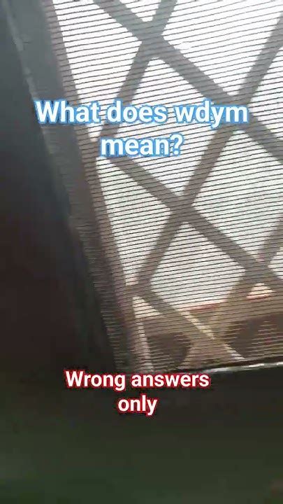 what does wdym mean? - YouTube