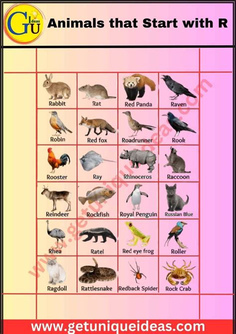 List of 100+ Animals that Start with R: Pictures, Facts - GetUniqueIdeas