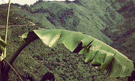 Nagaland Tourism (2024): Best of Nagaland - Tripadvisor