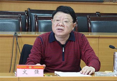 重庆原司法局长文强被以受贿强奸罪公诉(组图)-搜狐新闻