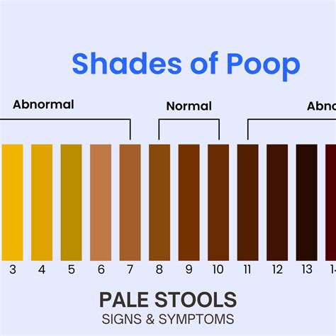 Pale Stools Differential Diagnosis at Malik Keck blog