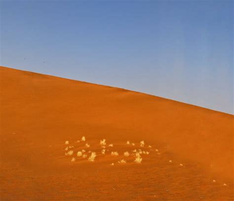 Image result for Adolf Namibia