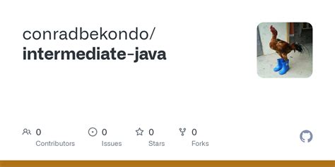Image result for Intermediate Java Programming